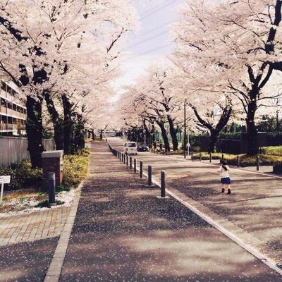 KAG_ERO's profile picture. ❤💚💙