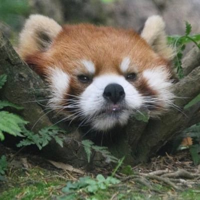 🍀さんのプロフィール画像