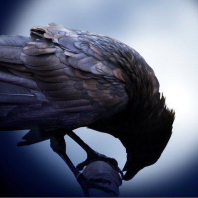 SyedM_Ahsan's profile picture. Computer Engineer