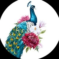 dastarkhwan.club (@dastarkhwanclub) 's Twitter Profile