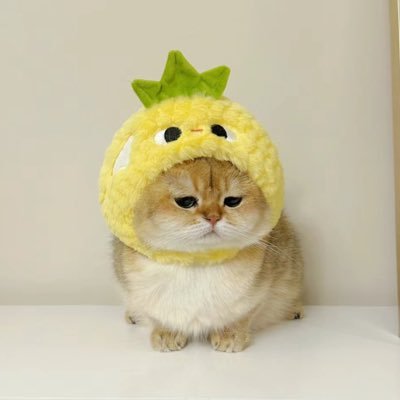 GymmieBear's profile picture. #4EVE/ติ่งgirl group k-pop/#LINGORM (เจ้าความรัก💜เจ้าหัวใจ) 🦮🪽💜🦋