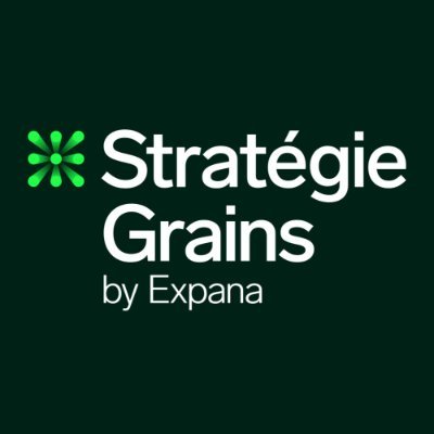 Stratégie Grains, part of the Mintec family of brands, is now Expana, your market intelligence partner, guiding the decisions that feed our world.