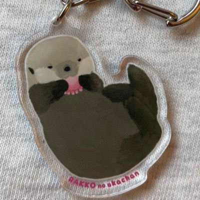 ポケモンユナイト / マイクラは見る専になっている / MHR:SB / もふもふ動物好き