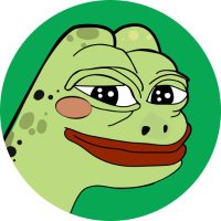 Turtle Pepe $TUPE (@turtlepepesol) 's Twitter Profile