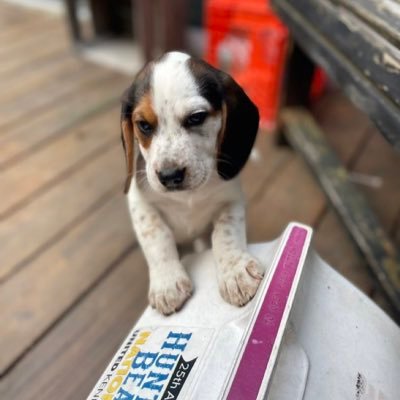 shortjan1's profile picture. 