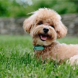 RioZhe78466's profile picture. 副業で収入を増やすコツを発信中。副業を始めてみたい人に有益な情報を提供。ほんの僅かですが10万円プレゼント企画もしております♬ 期間限定→https://t.co/DPzsceRXou