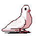 hato (@pigeon6) Twitter profile photo hato (@pigeon6) Twitter profile photo