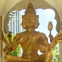 SaoriYoshida＠ThailandWriter (@saorithaiwriter) 's Twitter Profile Photo
