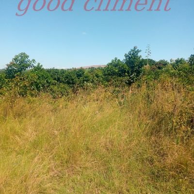 EanTuratsinze's profile picture. 