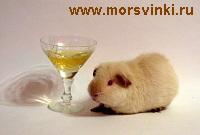 bayykov's profile picture. Работать так работать.