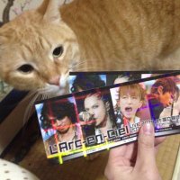 ใพ๐๐บ๐ (@larcgaw) 's Twitter Profile