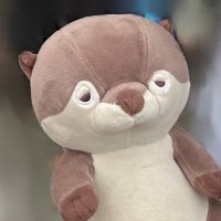 かわうそ (@hirafujihayashi) 's Twitter Profile