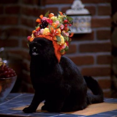 SergioDarkwolf's profile picture. "Tienes menos credibilidad que un heteropero el día del orgullo"
Gaymer
Programador
Escritor con block eterno
Demasiado caro vivir y ni me gusta