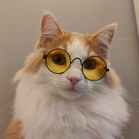 ICHIZEN-RYUU (@ichizen_ryuu2) 's Twitter Profile