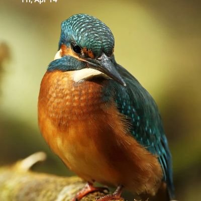 Down-right eccentric! • Lover of all things nature and subtle • Lateral Thinker