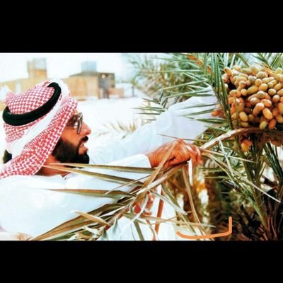 7arth_Alb7r's profile picture. أخفيت عن كل العيون مواجعي
فأنا الشقي على السعادة أُحسد✋

الإمارات هوية حياة 🇦🇪♥️