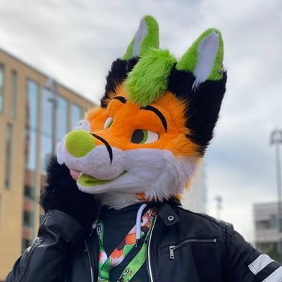 26 | 🇪🇪 | 🦊 | He/Him | Loves nature, traveling, gaming & photography. 💚