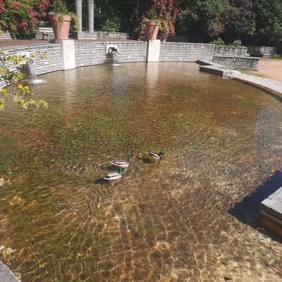 safeeringerman's profile picture. currently in granada (manifesting) | mostly talk about books and security | thoughts are my own