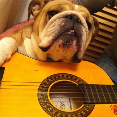 marianne_75018's profile picture. @typic, #saccageparis