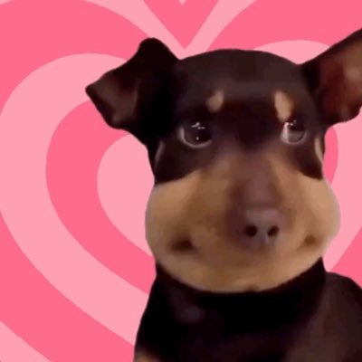 yang49492's profile picture. 