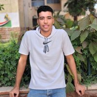 Hassan Elshamy (@hassan__elshamy) 's Twitter Profile