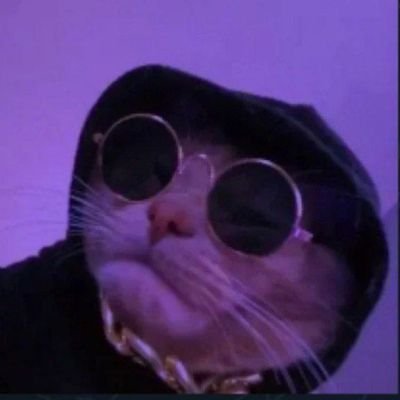 aditsyntax's profile picture. #undergrad 
#coding_enthusiast
#beginner
C🎯
C++📊🔄️