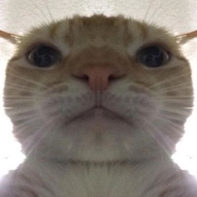 NyoPon_'s profile picture. 