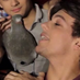 Profile Picture of Louis's Pigeon Kevin (@PlanetSheeran) on Twitter