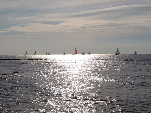 simonecnts's profile picture. 