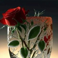 سيلن ياملايا... (@abwfrj70210) Twitter profile photo