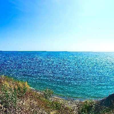 holyhockeypicks's profile picture. 