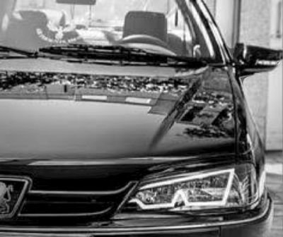 sadiq1952206's profile picture. 