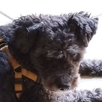 Benjamin Perez Profile