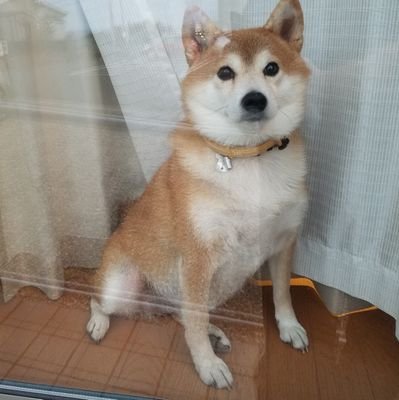 重兵器さんのプロフィール画像