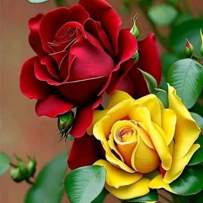 TaylorKinn51524's profile picture. 