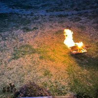 はる (@sakuchin2112) Twitter profile photo