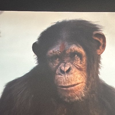 JoseBernal_22's profile picture. 