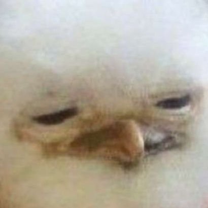 Borgaperson's profile picture. 