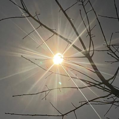 issibug's profile picture. hi