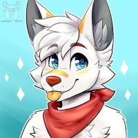 Hadjer (@hadjer069) 's Twitter Profile