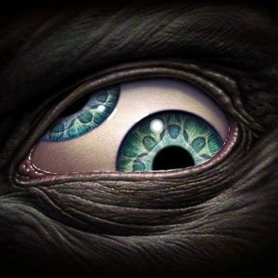 Ripucondieresis's profile picture. .