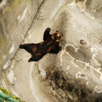 きゅま (@kyumayama_goro_) 's Twitter Profile Photo