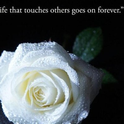 TheyAllDied20's profile picture. Starting life over moving through grief.