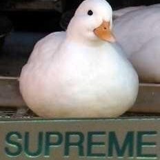 coffee_hm2's profile picture. 