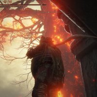 Quad of the Elden Ring (@redfoxm18) 's Twitter Profile