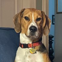 ERAnderson (@elizabethaghab1) 's Twitter Profile Photo ERAnderson (@elizabethaghab1) 's Twitter Profile Photo