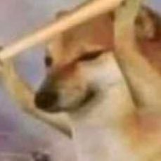 LeniwiecE's profile picture. 20