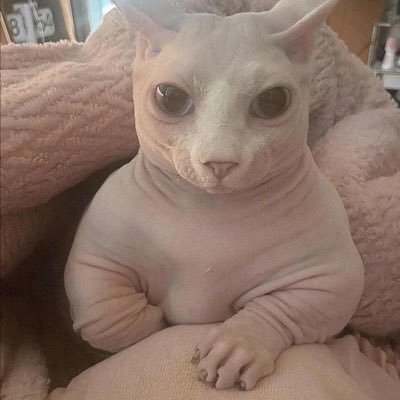 sam__glue's profile picture. TAMU former student