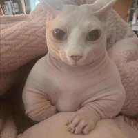 sam (@sam__glue) 's Twitter Profile