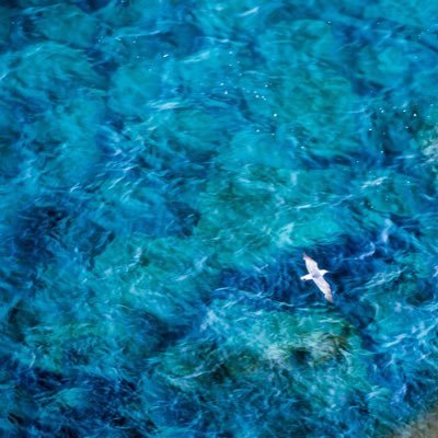 PotoPhoto's profile picture. 研一といっしょ